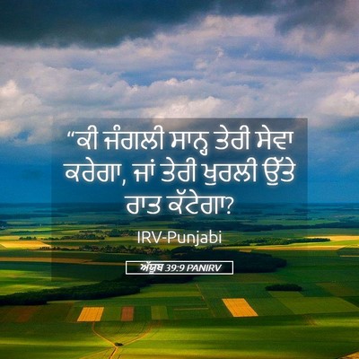 Picture 05 - ਅੱਯੂਬ 39:9 PANIRV - “ਕੀ ਜੰਗਲੀ ਸਾਨ੍ਹ - Bible Verse Picture