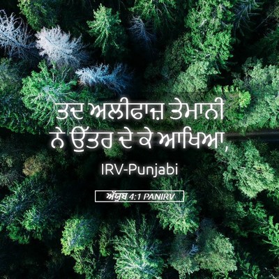 Picture 05 - ਅੱਯੂਬ 4:1 PANIRV - ਤਦ ਅਲੀਫਾਜ਼ ਤੇਮਾਨੀ - Bible Verse Picture