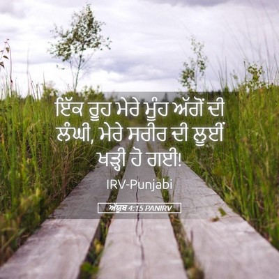 Picture 05 - ਅੱਯੂਬ 4:15 PANIRV - ਇੱਕ ਰੂਹ ਮੇਰੇ ਮੂੰਹ - Bible Verse Picture