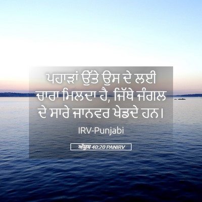 Picture 05 - ਅੱਯੂਬ 40:20 PANIRV - ਪਹਾੜਾਂ ਉੱਤੇ ਉਸ ਦੇ - Bible Verse Picture