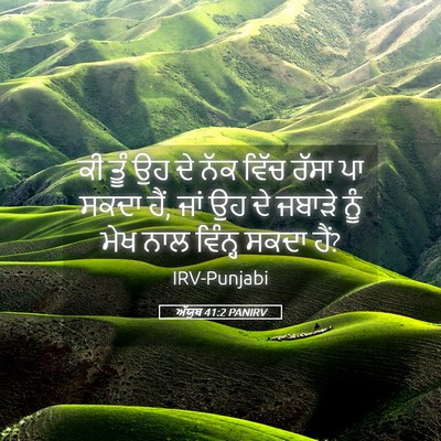 Picture 05 - ਅੱਯੂਬ 41:2 PANIRV - ਕੀ ਤੂੰ ਉਹ ਦੇ ਨੱਕ - Bible Verse Picture
