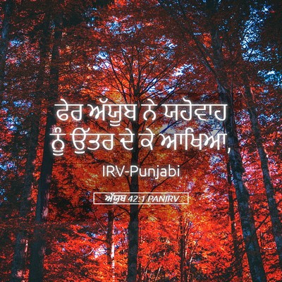 Picture 05 - ਅੱਯੂਬ 42:1 PANIRV - ਫੇਰ ਅੱਯੂਬ ਨੇ - Bible Verse Picture