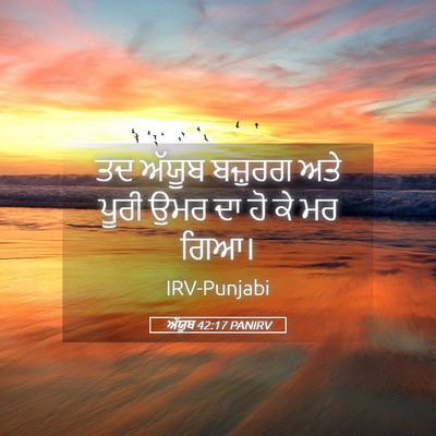 Picture 05 - ਅੱਯੂਬ 42:17 PANIRV - ਤਦ ਅੱਯੂਬ ਬਜ਼ੁਰਗ - Bible Verse Picture