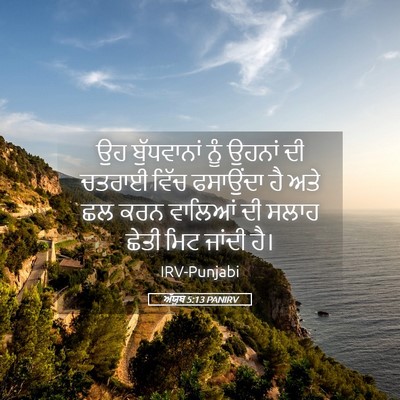 Picture 05 - ਅੱਯੂਬ 5:13 PANIRV - ਉਹ ਬੁੱਧਵਾਨਾਂ ਨੂੰ - Bible Verse Picture