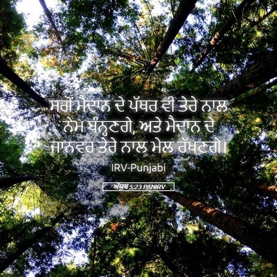 Picture 05 - ਅੱਯੂਬ 5:23 PANIRV - ਸਗੋਂ ਮੈਦਾਨ ਦੇ ਪੱਥਰ - Bible Verse Picture