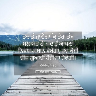 Picture 05 - ਅੱਯੂਬ 5:24 PANIRV - ਤਦ ਤੂੰ ਜਾਣੇਂਗਾ ਕਿ - Bible Verse Picture