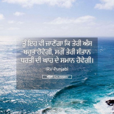Picture 05 - ਅੱਯੂਬ 5:25 PANIRV - ਤੂੰ ਇਹ ਵੀ ਜਾਣੇਂਗਾ - Bible Verse Picture