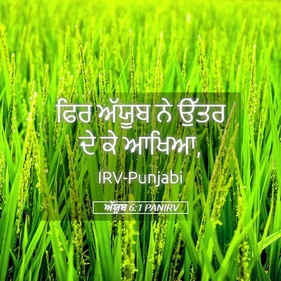 Picture 05 - ਅੱਯੂਬ 6:1 PANIRV - ਫਿਰ ਅੱਯੂਬ ਨੇ ਉੱਤਰ - Bible Verse Picture