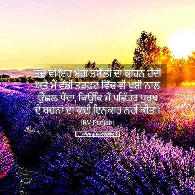 Picture 05 - ਅੱਯੂਬ 6:10 PANIRV - ਤਦ ਵੀ ਇਹ ਮੇਰੀ ਤਸੱਲੀ - Bible Verse Picture