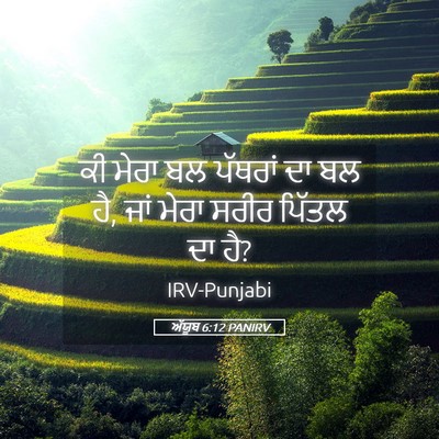 Picture 05 - ਅੱਯੂਬ 6:12 PANIRV - ਕੀ ਮੇਰਾ ਬਲ ਪੱਥਰਾਂ - Bible Verse Picture