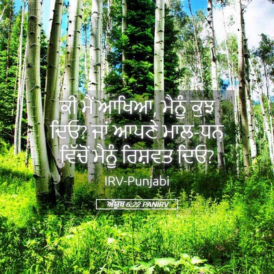 Picture 05 - ਅੱਯੂਬ 6:22 PANIRV - ਕੀ ਮੈਂ ਆਖਿਆ, ਮੈਨੂੰ - Bible Verse Picture
