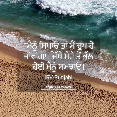 Picture 05 - ਅੱਯੂਬ 6:24 PANIRV - “ਮੈਨੂੰ ਸਿਖਾਓ ਤਾਂ - Bible Verse Picture
