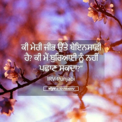 Picture 05 - ਅੱਯੂਬ 6:30 PANIRV - ਕੀ ਮੇਰੀ ਜੀਭ ਉੱਤੇ - Bible Verse Picture