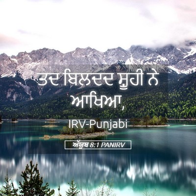 Picture 05 - ਅੱਯੂਬ 8:1 PANIRV - ਤਦ ਬਿਲਦਦ ਸ਼ੂਹੀ ਨੇ - Bible Verse Picture
