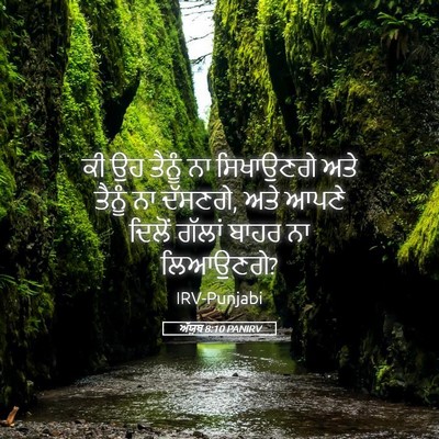 Picture 05 - ਅੱਯੂਬ 8:10 PANIRV - ਕੀ ਉਹ ਤੈਨੂੰ ਨਾ - Bible Verse Picture