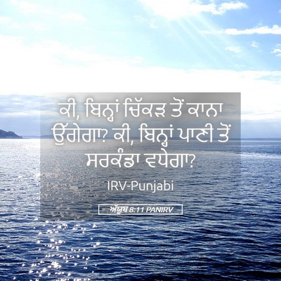 Picture 05 - ਅੱਯੂਬ 8:11 PANIRV - ਕੀ, ਬਿਨ੍ਹਾਂ ਚਿੱਕੜ - Bible Verse Picture