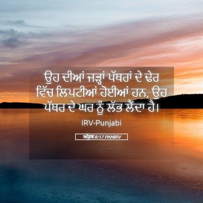 Picture 05 - ਅੱਯੂਬ 8:17 PANIRV - ਉਹ ਦੀਆਂ ਜੜ੍ਹਾਂ - Bible Verse Picture