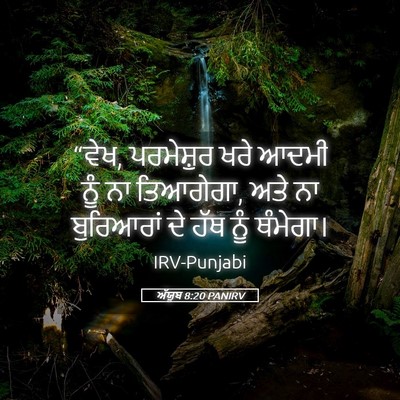 Picture 05 - ਅੱਯੂਬ 8:20 PANIRV - “ਵੇਖ, ਪਰਮੇਸ਼ੁਰ ਖਰੇ - Bible Verse Picture