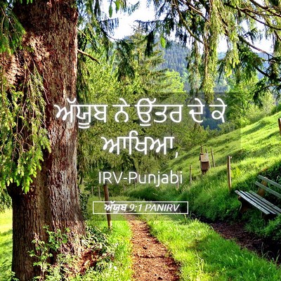 Picture 05 - ਅੱਯੂਬ 9:1 PANIRV - ਅੱਯੂਬ ਨੇ ਉੱਤਰ ਦੇ ਕੇ - Bible Verse Picture