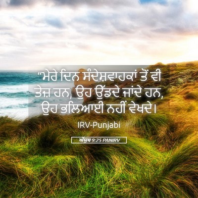 Picture 05 - ਅੱਯੂਬ 9:25 PANIRV - “ਮੇਰੇ ਦਿਨ - Bible Verse Picture