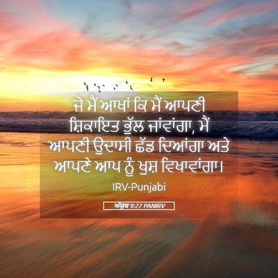 Picture 05 - ਅੱਯੂਬ 9:27 PANIRV - ਜੇ ਮੈਂ ਆਖਾਂ ਕਿ ਮੈਂ - Bible Verse Picture