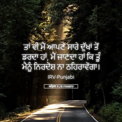 Picture 05 - ਅੱਯੂਬ 9:28 PANIRV - ਤਾਂ ਵੀ ਮੈਂ ਆਪਣੇ - Bible Verse Picture