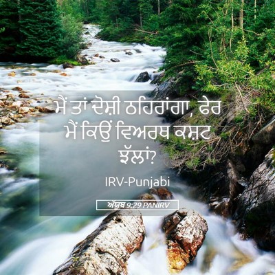 Picture 05 - ਅੱਯੂਬ 9:29 PANIRV - ਮੈਂ ਤਾਂ ਦੋਸ਼ੀ - Bible Verse Picture