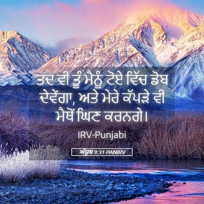 Picture 05 - ਅੱਯੂਬ 9:31 PANIRV - ਤਦ ਵੀ ਤੂੰ ਮੈਨੂੰ ਟੋਏ - Bible Verse Picture