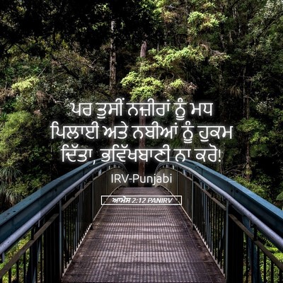 Picture 05 - ਆਮੋਸ 2:12 PANIRV - ਪਰ ਤੁਸੀਂ ਨਜ਼ੀਰਾਂ - Bible Verse Picture