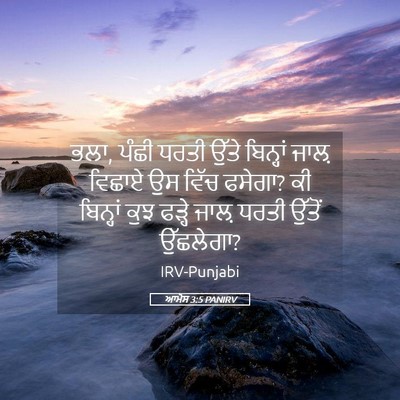 Picture 05 - ਆਮੋਸ 3:5 PANIRV - ਭਲਾ, ਪੰਛੀ ਧਰਤੀ ਉੱਤੇ - Bible Verse Picture
