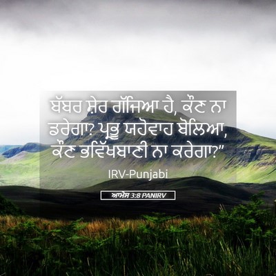 Picture 05 - ਆਮੋਸ 3:8 PANIRV - ਬੱਬਰ ਸ਼ੇਰ ਗੱਜਿਆ ਹੈ, - Bible Verse Picture