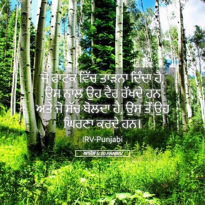 Picture 05 - ਆਮੋਸ 5:10 PANIRV - ਜੋ ਫਾਟਕ ਵਿੱਚ ਤਾੜਨਾ - Bible Verse Picture