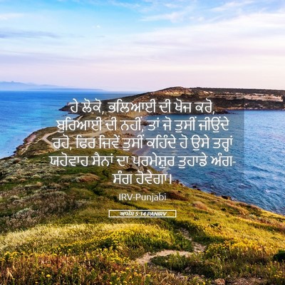 Picture 05 - ਆਮੋਸ 5:14 PANIRV - ਹੇ ਲੋਕੋ, ਭਲਿਆਈ ਦੀ - Bible Verse Picture