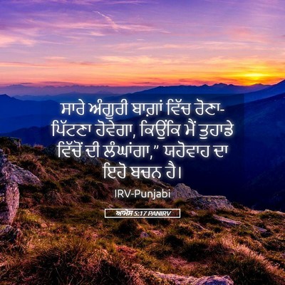 Picture 05 - ਆਮੋਸ 5:17 PANIRV - ਸਾਰੇ ਅੰਗੂਰੀ - Bible Verse Picture