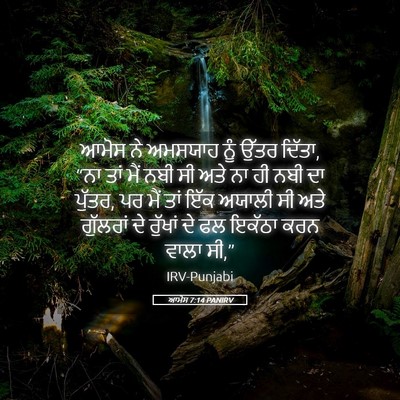 Picture 05 - ਆਮੋਸ 7:14 PANIRV - ਆਮੋਸ ਨੇ ਅਮਸਯਾਹ ਨੂੰ - Bible Verse Picture