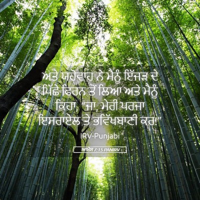 Picture 05 - ਆਮੋਸ 7:15 PANIRV - ਅਤੇ ਯਹੋਵਾਹ ਨੇ - Bible Verse Picture