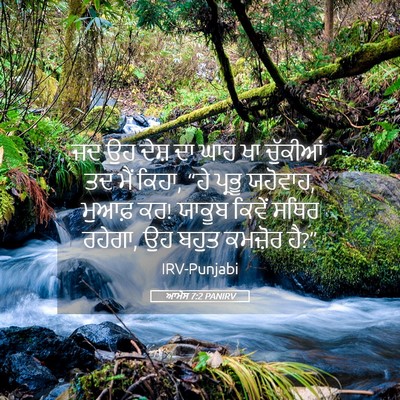 Picture 05 - ਆਮੋਸ 7:2 PANIRV - ਜਦ ਉਹ ਦੇਸ਼ ਦਾ ਘਾਹ - Bible Verse Picture