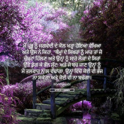 Picture 05 - ਆਮੋਸ 9:1 PANIRV - ਮੈਂ ਪ੍ਰਭੂ ਨੂੰ - Bible Verse Picture