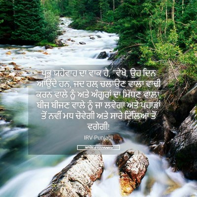 Picture 05 - ਆਮੋਸ 9:13 PANIRV - ਪ੍ਰਭੂ ਯਹੋਵਾਹ ਦਾ - Bible Verse Picture