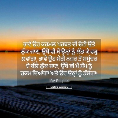 Picture 05 - ਆਮੋਸ 9:3 PANIRV - ਭਾਵੇਂ ਉਹ ਕਰਮਲ ਪਰਬਤ - Bible Verse Picture