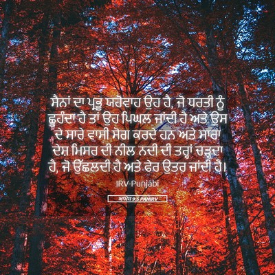 Picture 05 - ਆਮੋਸ 9:5 PANIRV - ਸੈਨਾਂ ਦਾ ਪ੍ਰਭੂ - Bible Verse Picture