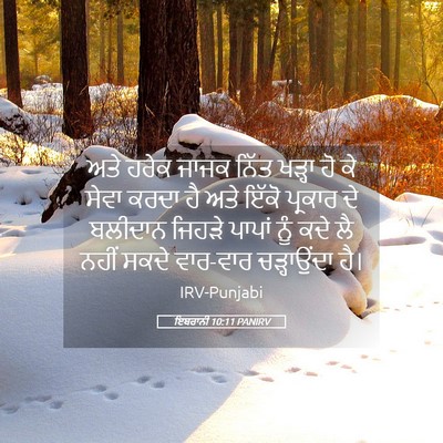 Picture 05 - ਇਬਰਾਨੀ 10:11 PANIRV - ਅਤੇ ਹਰੇਕ ਜਾਜਕ ਨਿੱਤ - Bible Verse Picture