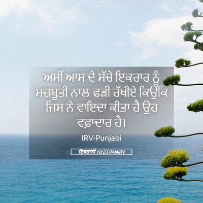 Picture 05 - ਇਬਰਾਨੀ 10:23 PANIRV - ਅਸੀਂ ਆਸ ਦੇ ਸੱਚੇ - Bible Verse Picture