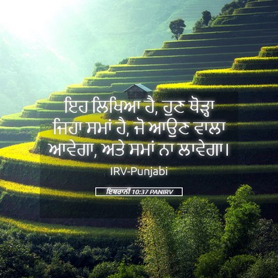 Picture 05 - ਇਬਰਾਨੀ 10:37 PANIRV - ਇਹ ਲਿਖਿਆ ਹੈ, ਹੁਣ - Bible Verse Picture