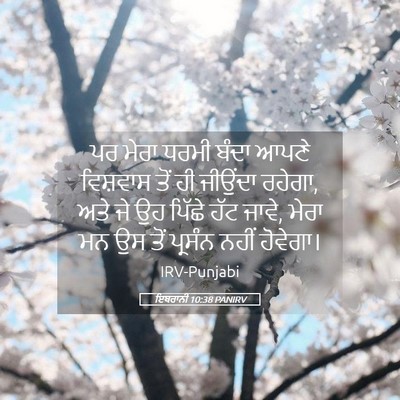 Picture 05 - ਇਬਰਾਨੀ 10:38 PANIRV - ਪਰ ਮੇਰਾ ਧਰਮੀ ਬੰਦਾ - Bible Verse Picture