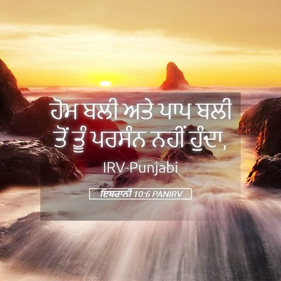 Picture 05 - ਇਬਰਾਨੀ 10:6 PANIRV - ਹੋਮ ਬਲੀ ਅਤੇ ਪਾਪ ਬਲੀ - Bible Verse Picture