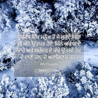 Picture 05 - ਇਬਰਾਨੀ 11:12 PANIRV - ਉਪਰੰਤ ਇੱਕ ਮਨੁੱਖ - Bible Verse Picture