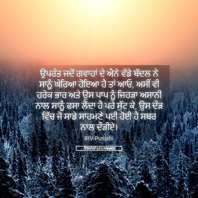 Picture 05 - ਇਬਰਾਨੀ 12:1 PANIRV - ਉਪਰੰਤ ਜਦੋਂ ਗਵਾਹਾਂ - Bible Verse Picture