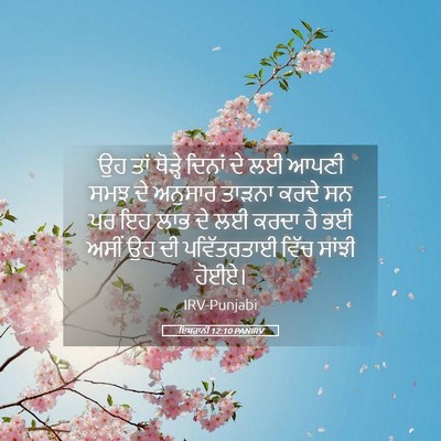 Picture 05 - ਇਬਰਾਨੀ 12:10 PANIRV - ਉਹ ਤਾਂ ਥੋੜ੍ਹੇ - Bible Verse Picture