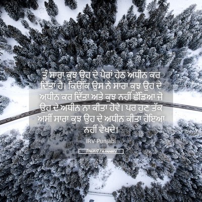 Picture 05 - ਇਬਰਾਨੀ 2:8 PANIRV - ਤੂੰ ਸਾਰਾ ਕੁਝ ਉਹ ਦੇ - Bible Verse Picture